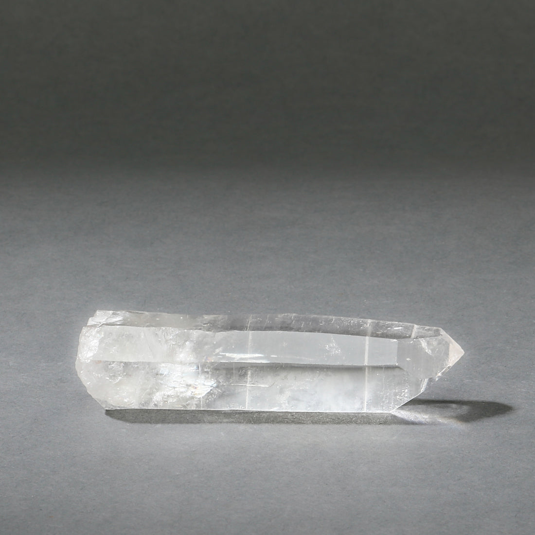 Raw Lemurian