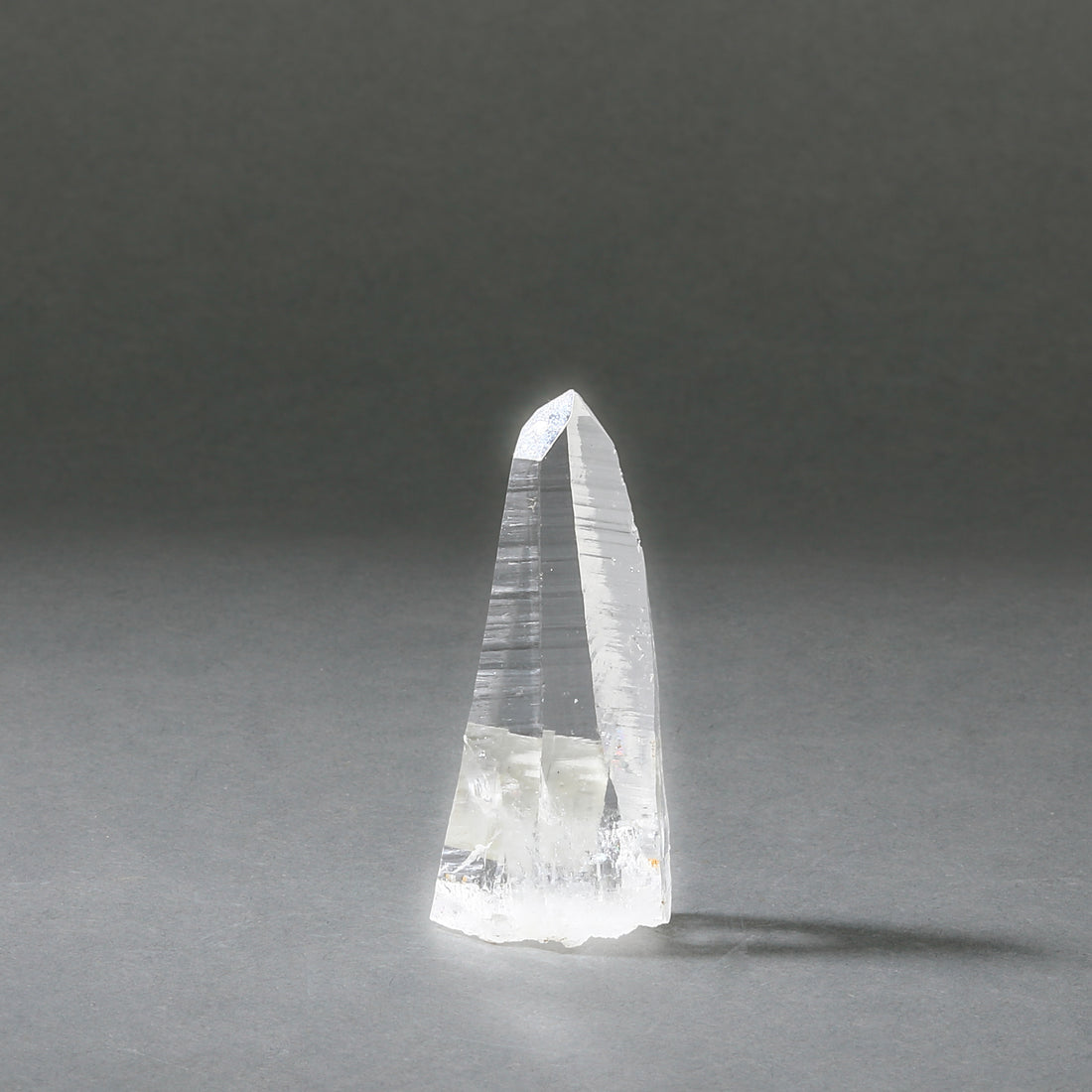 Raw Lemurian