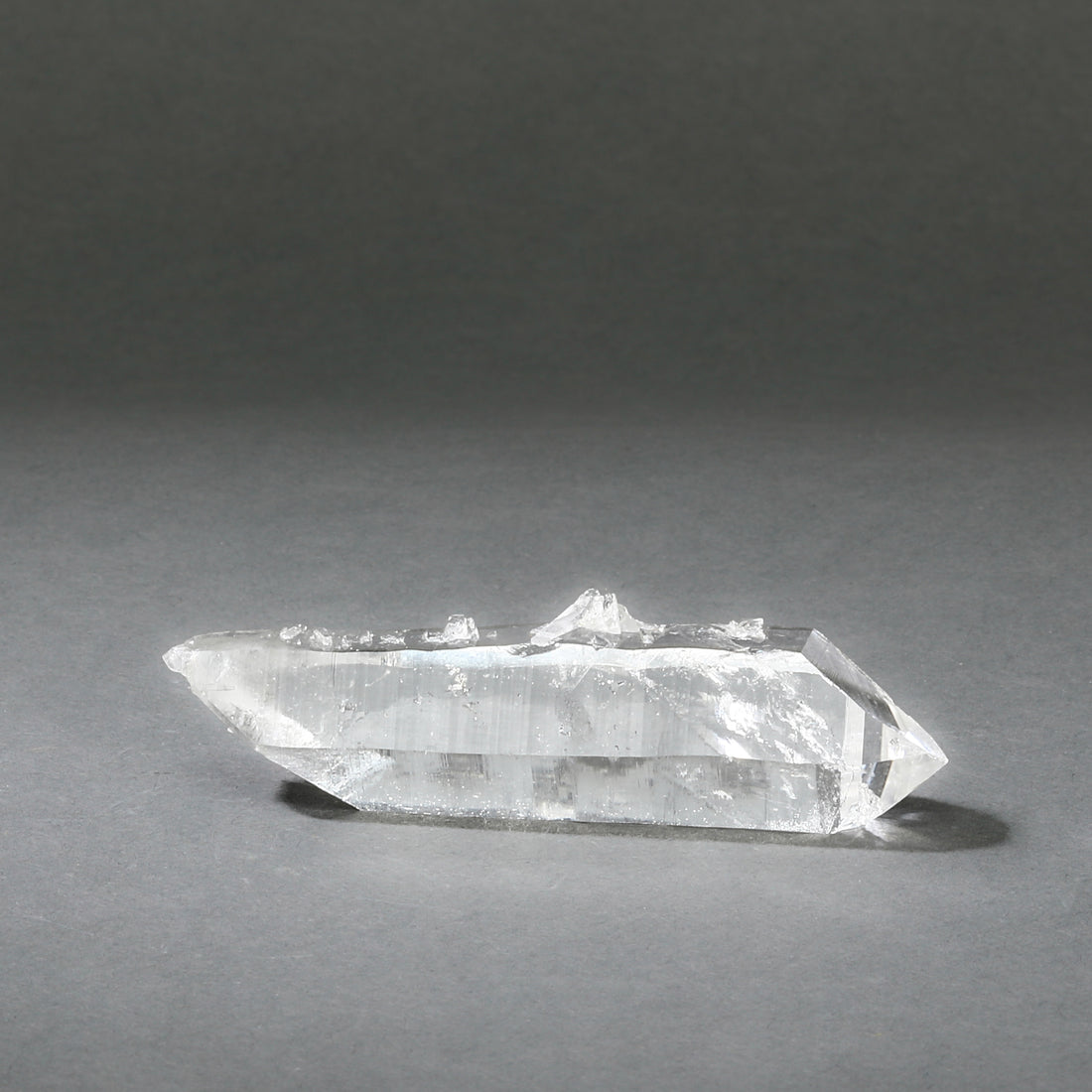 Raw Lemurian