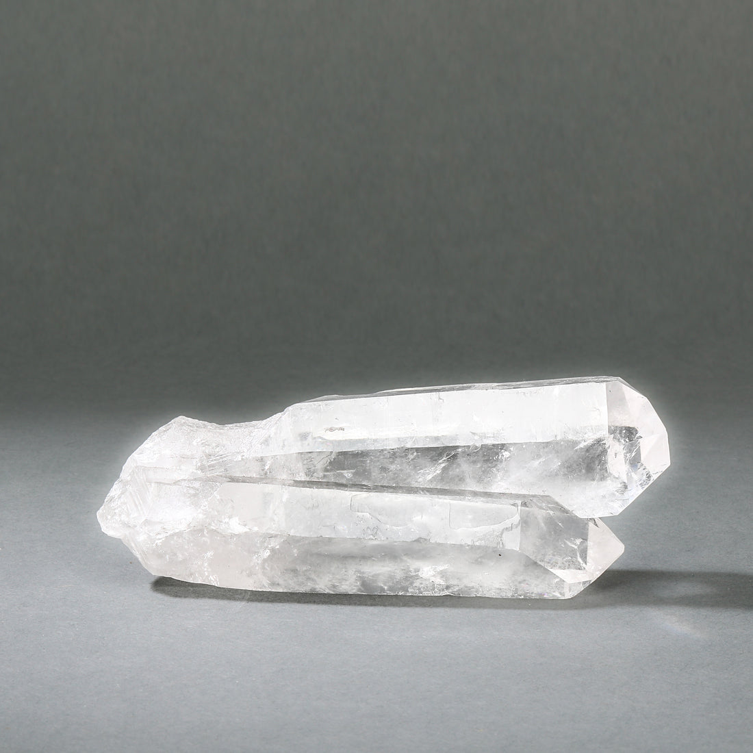 Lemurian Raw
