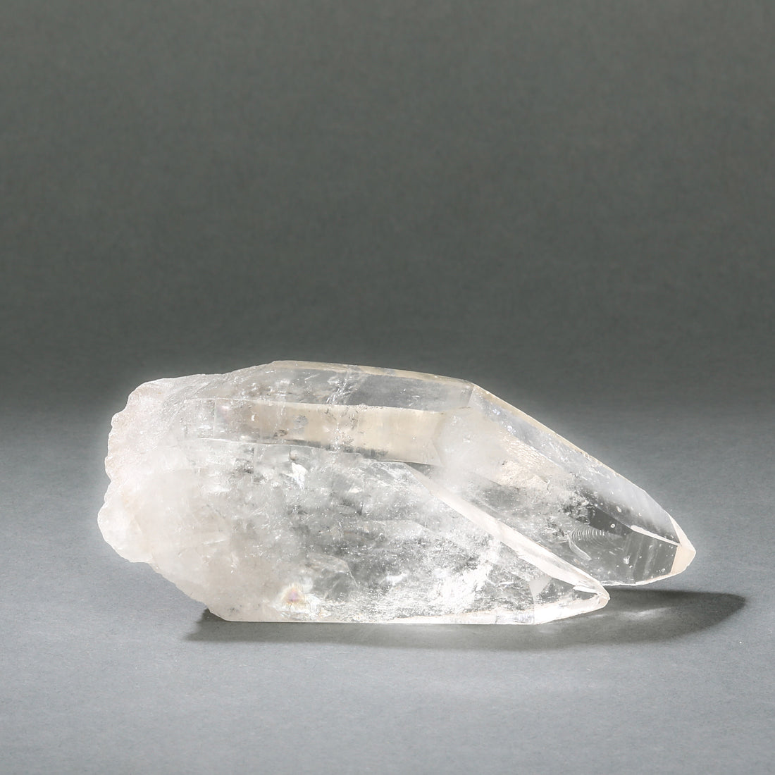 Raw Lemurian