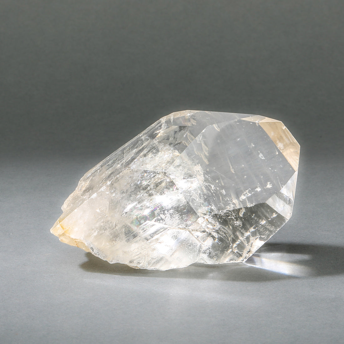 Raw Lemurian