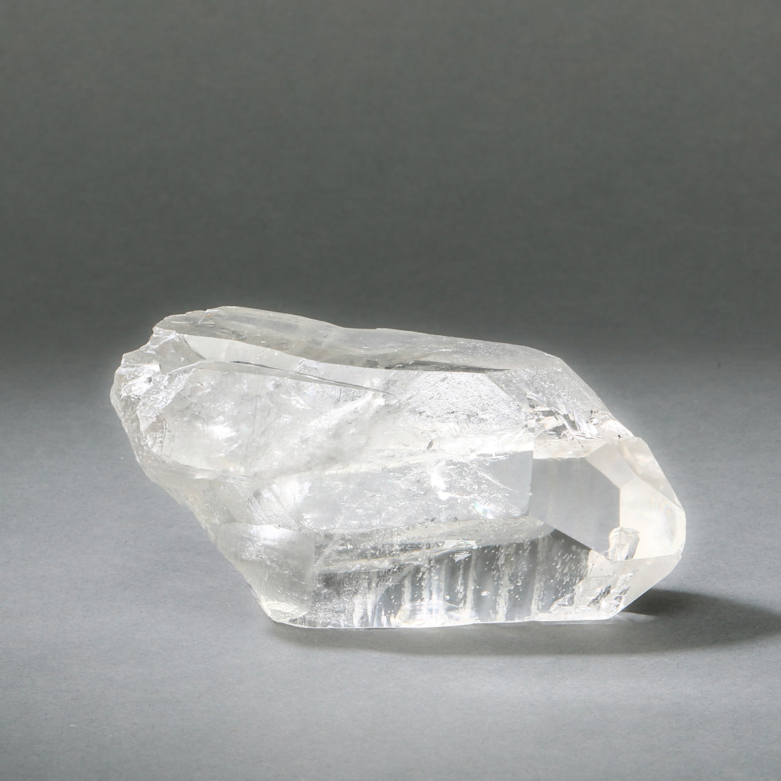 Raw Lemurian