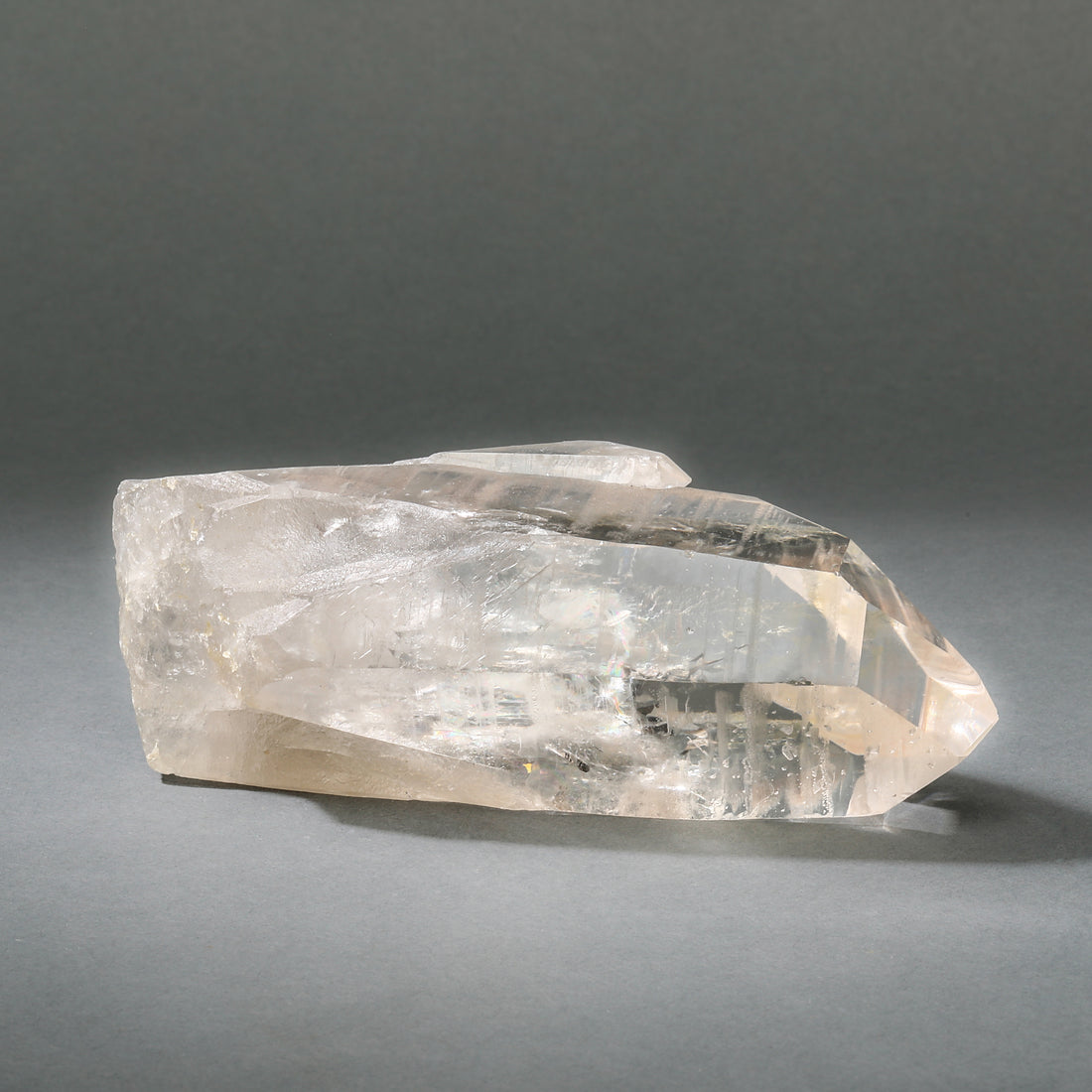 Raw Lemurian