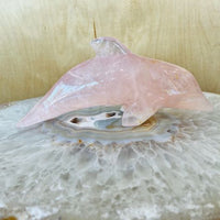 Rose Quartz Dolphin – Hand-Carved Crystal for Love & Flow
