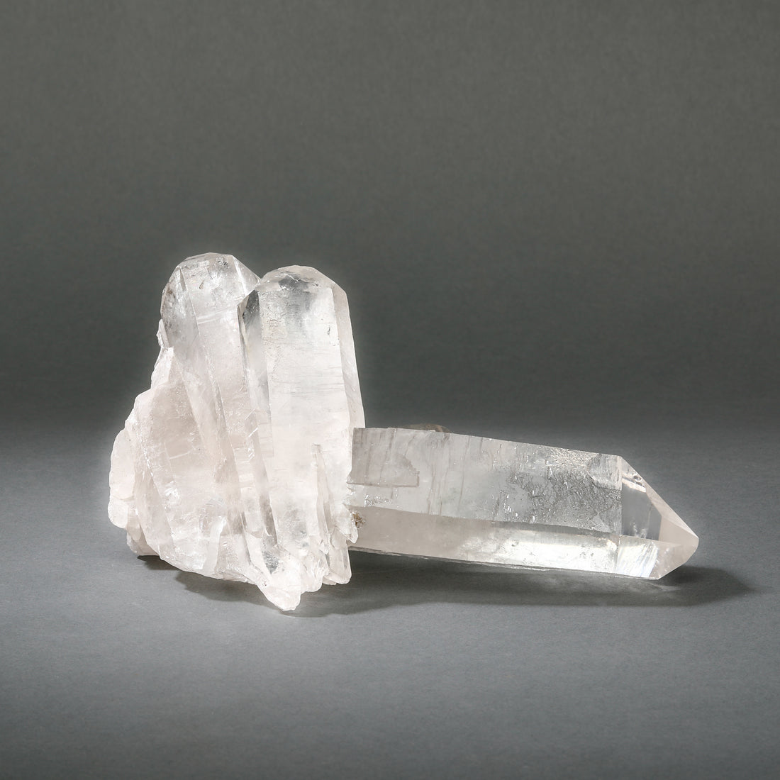 Raw Lemurian
