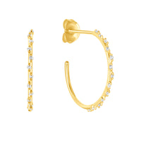 Ravishing Earrings with Diamond