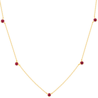 Reclamation Necklace with Ruby