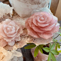Large rose quartz flowers statement decor crystals on stone table with money plant