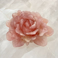 Pink rose stone on a white marble background
