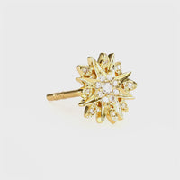 Star Gazer Diamond Earrings