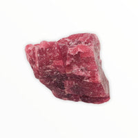 Cranberry Red Rhodonite Pebble on white background