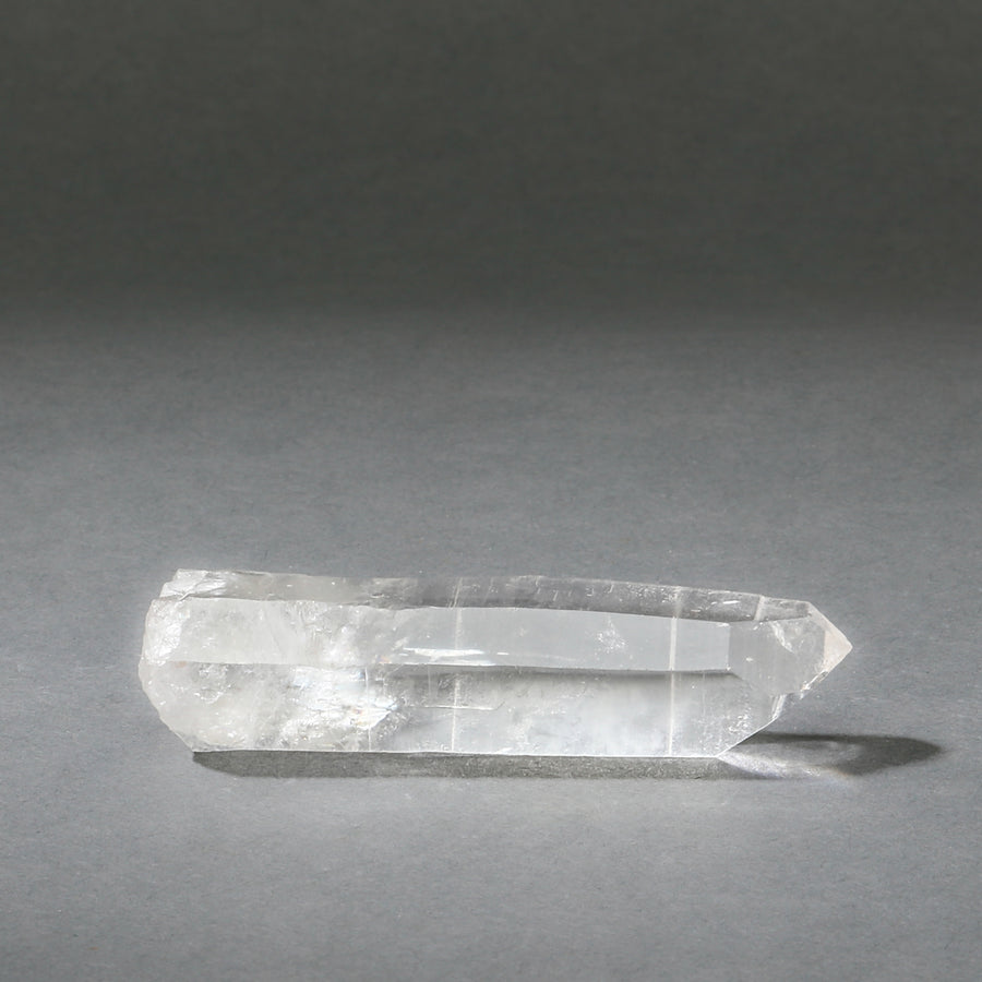 Raw Lemurian