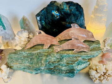3 rose quartz dolphins on Fuchsite boulder with Labradorite and quartz on white bookshelf