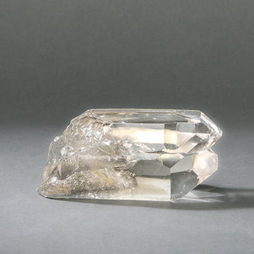Raw Lemurian