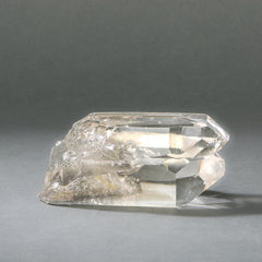Raw Lemurian