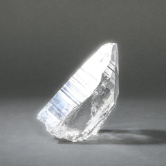 Raw Lemurian