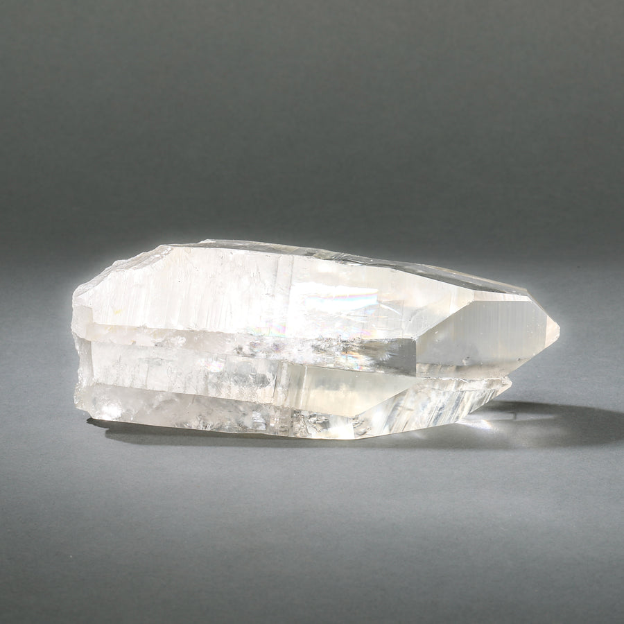 Raw Lemurian