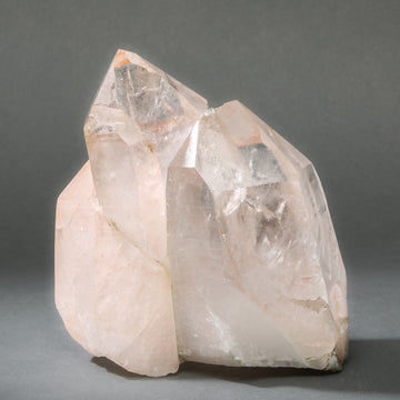 Raw Lemurian