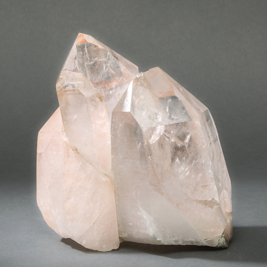 Raw Lemurian