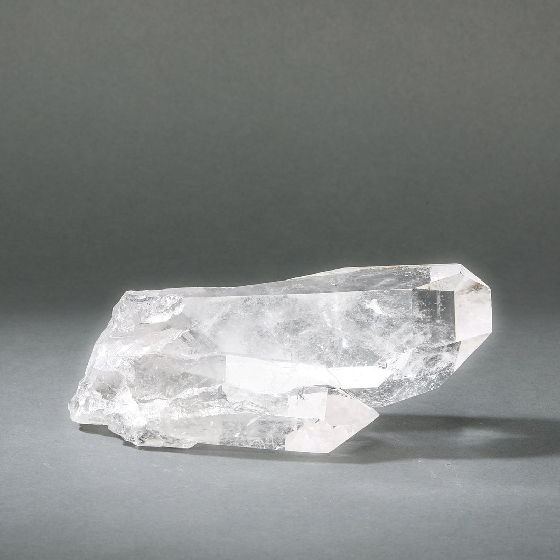 Raw Lemurian