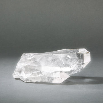 Raw Lemurian