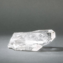 Raw Lemurian