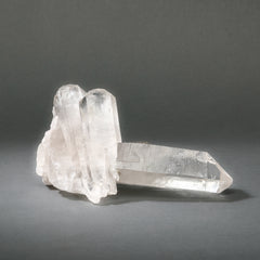Raw Lemurian