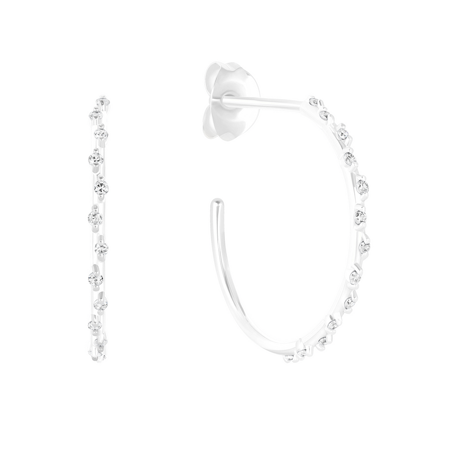 Ravishing Earrings with Diamond