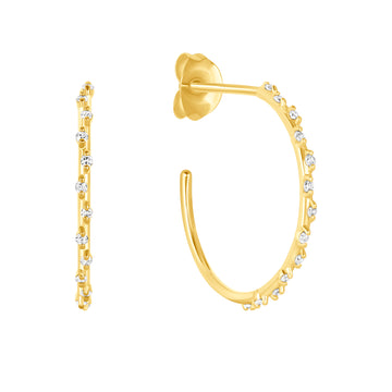 Ravishing Earrings with Diamond