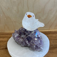 Crystal bird figurine on a amethyst crystal base with a wooden background