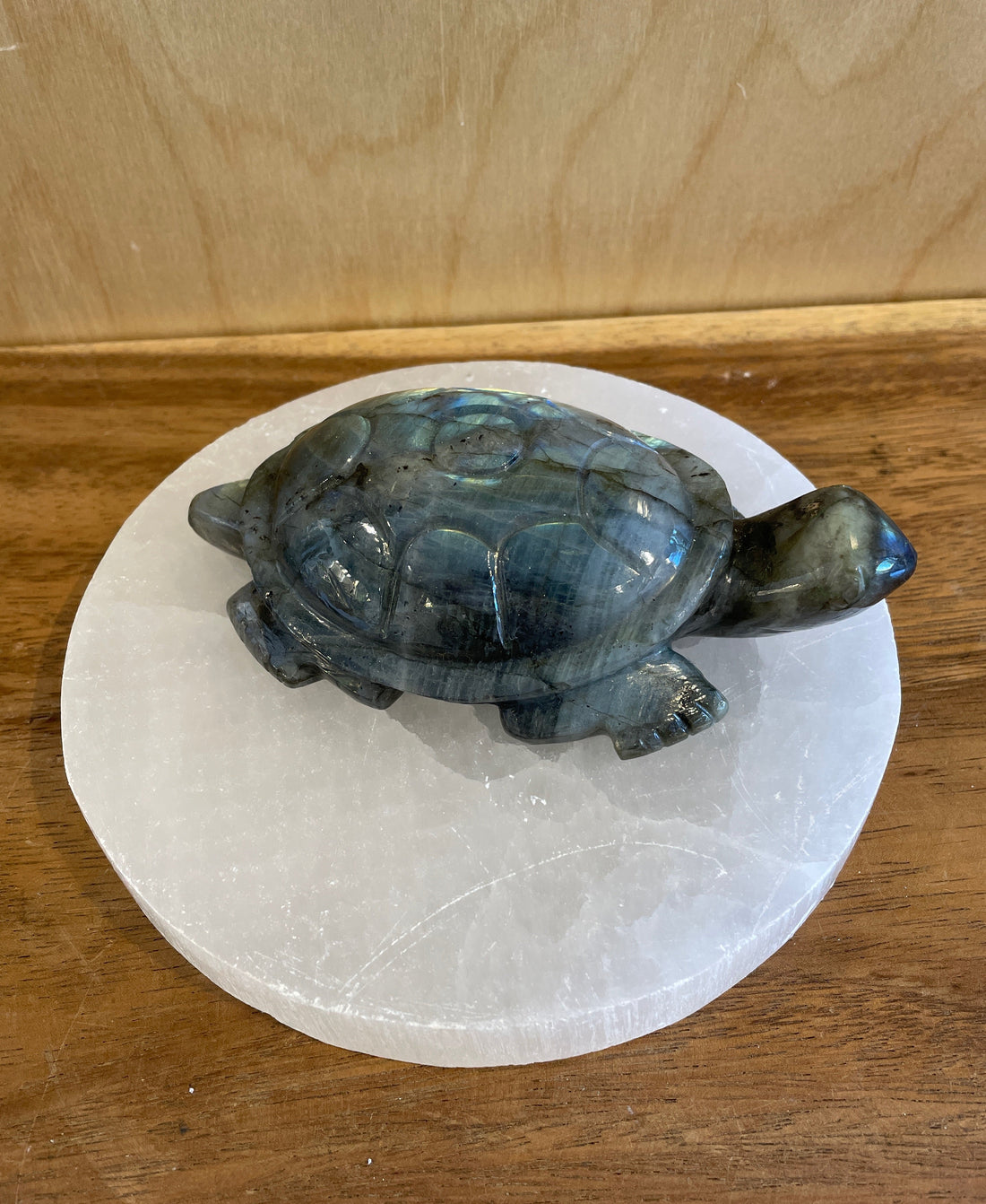 Blue stone turtle on a white stone base on a wooden surface