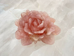 Pink rose stone on a white marble background