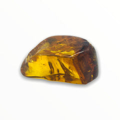 Amber stone on white background