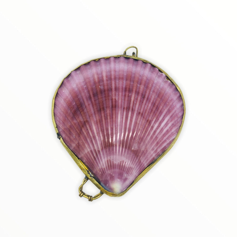 Shell Box - Ele Keats Jewelry