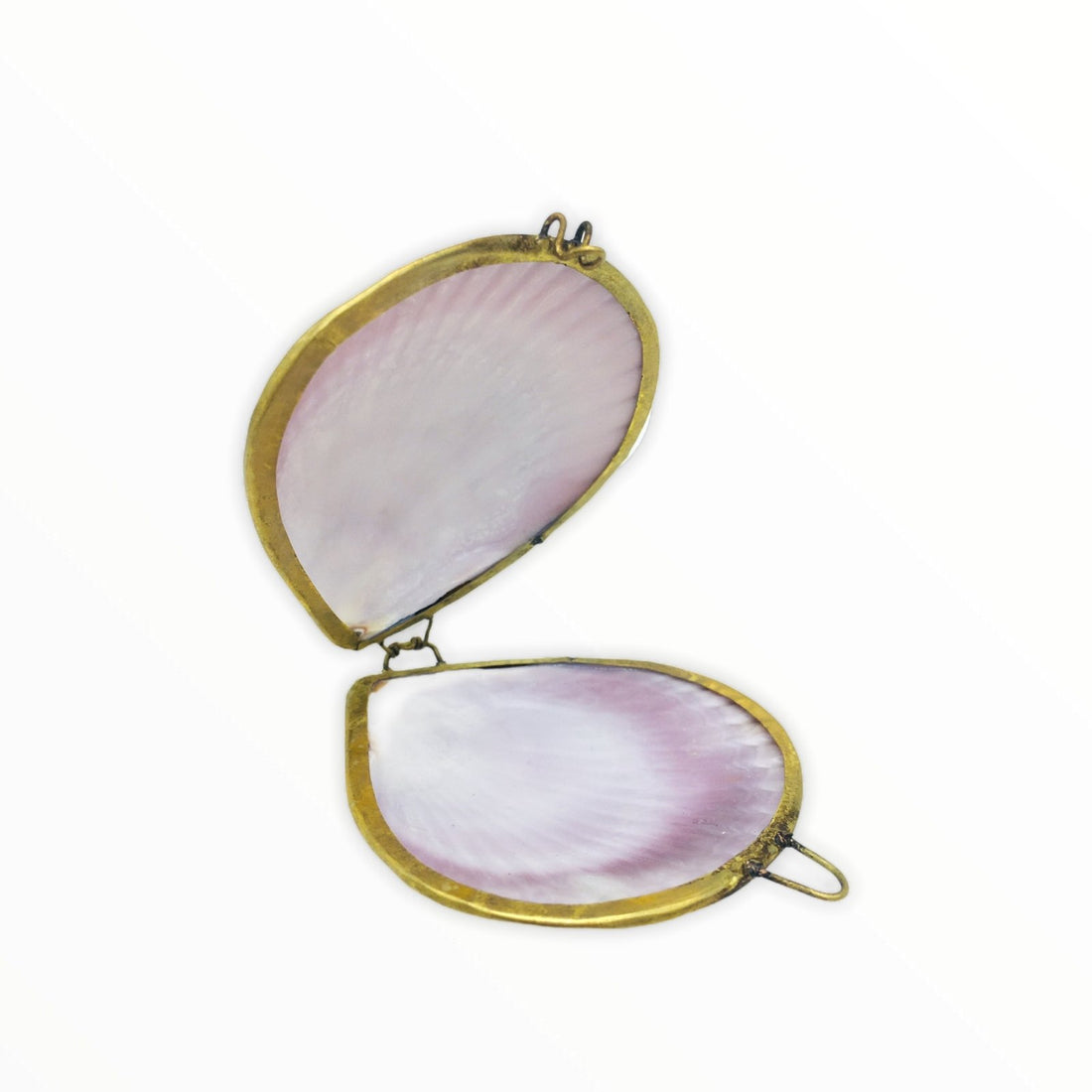 Shell Box - Ele Keats Jewelry